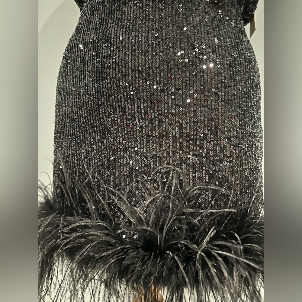 Eliza J Mock Neck Feather Hem Blouson Waist Sequin Sleeveless dress black 8P NWT - Picture 10 of 13